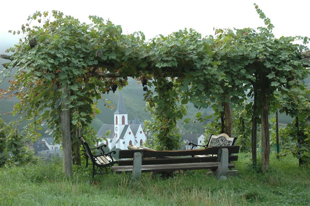 Strumpfeck Suites Traben-Trarbach Exterior foto